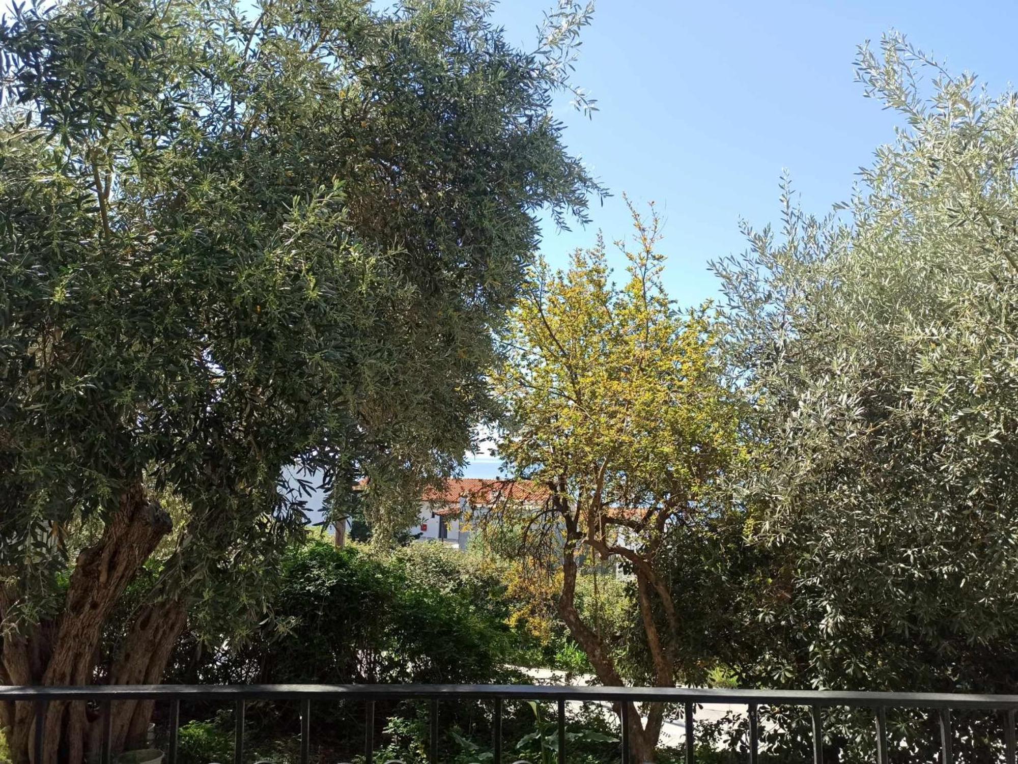 Greekowl Apartments İskados Dış mekan fotoğraf
