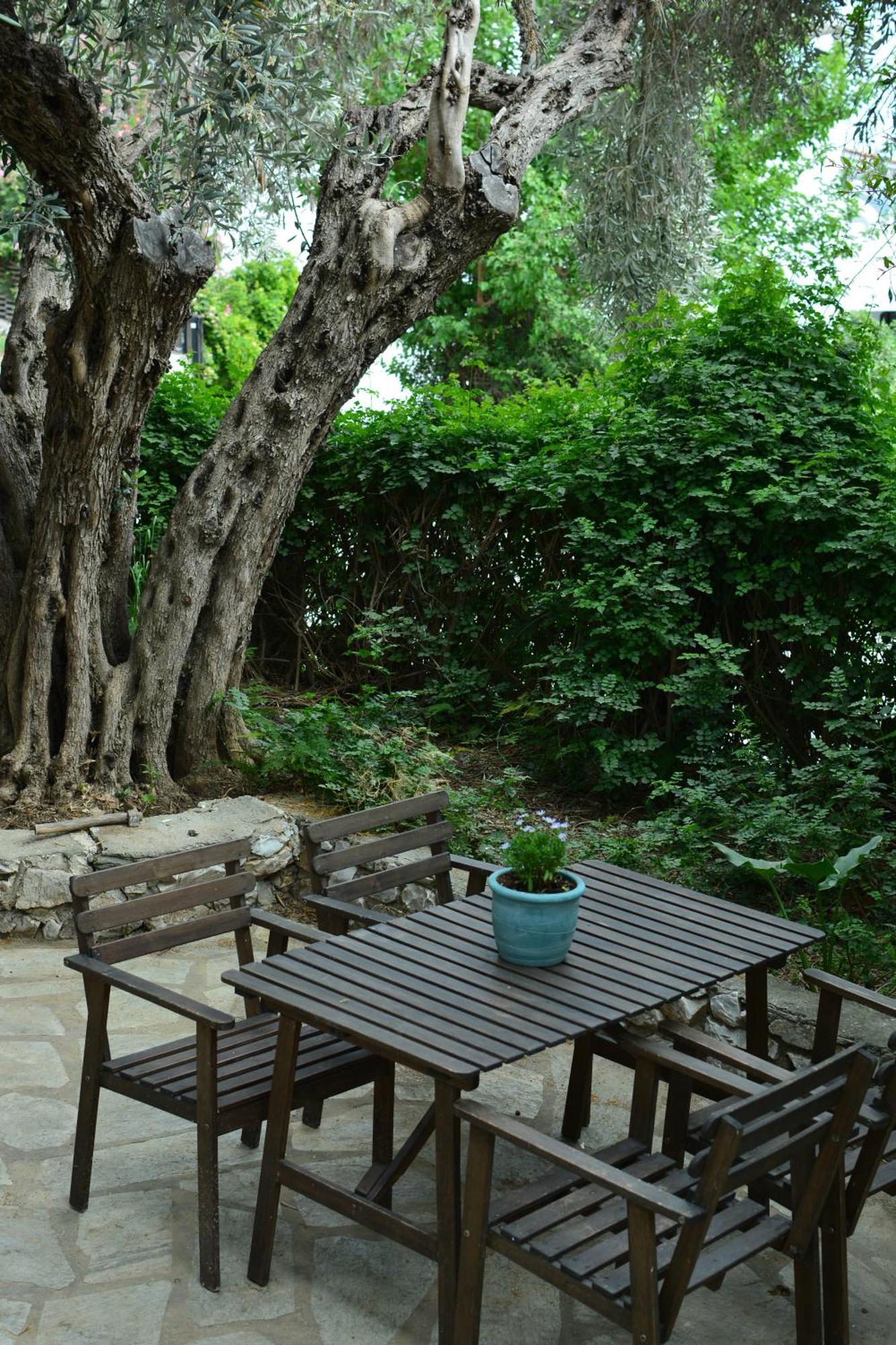 Greekowl Apartments İskados Dış mekan fotoğraf