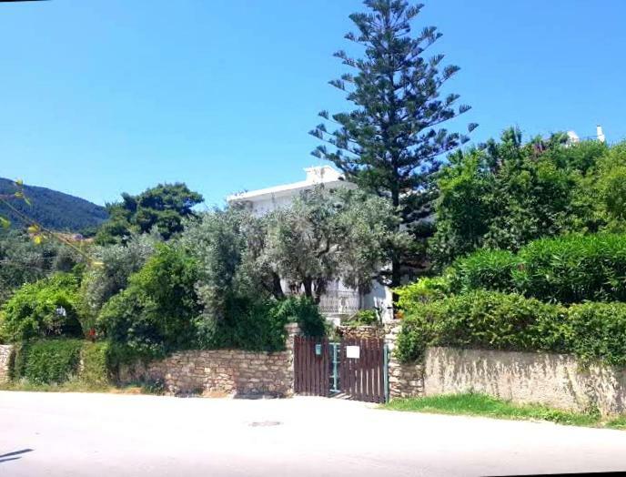 Greekowl Apartments İskados Oda fotoğraf